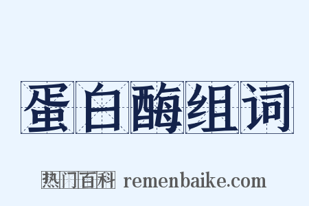 蛋白酶组词是什么意思的图片